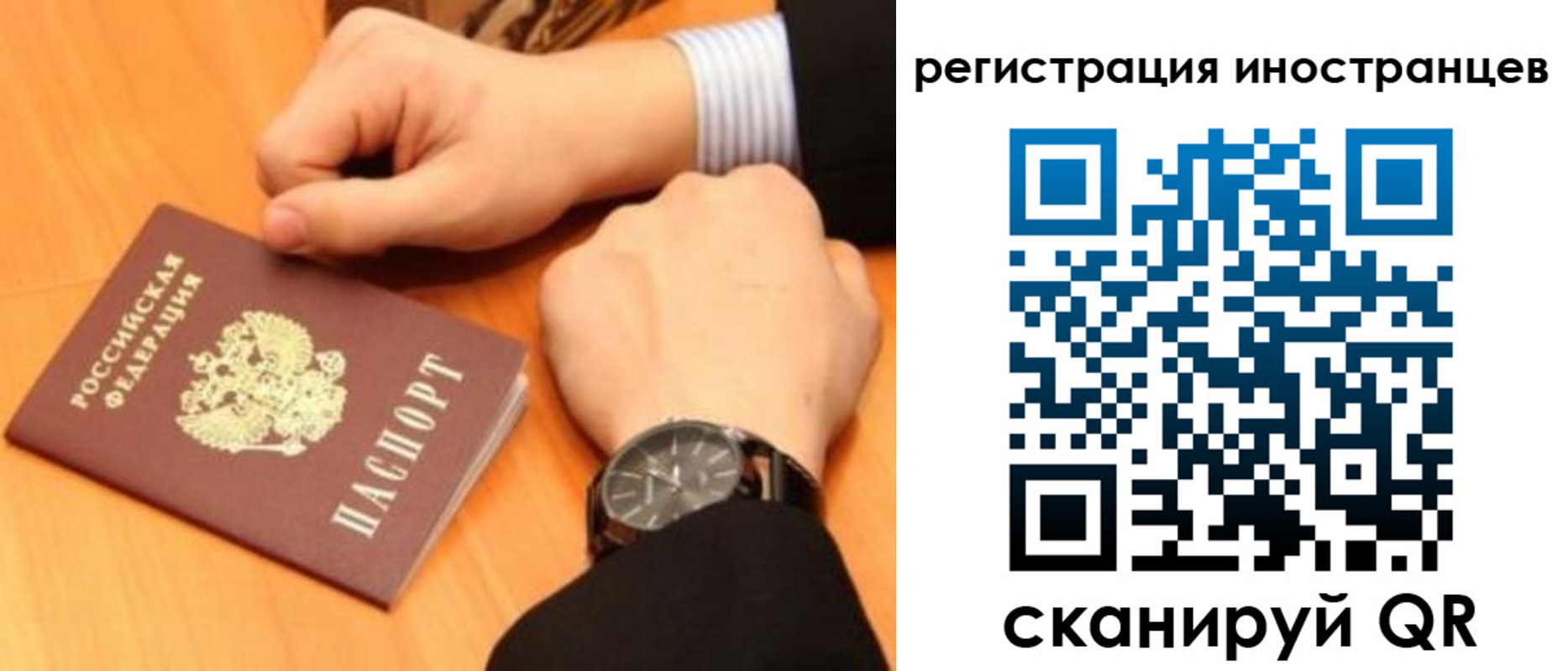 прописка гарантия в Зее